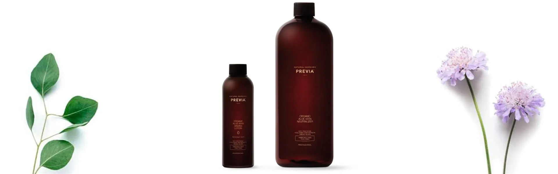 Studio 65 Angela Hair Stylist-PROFESSIONAL WAVE